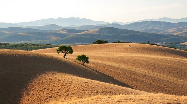Expertise affaissement de terrain : solutions à perpignan